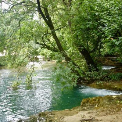 Krka6